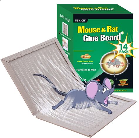 amazon sticky mouse traps